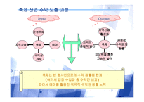[광고기획론] ‘청도 소싸움’을 통한 청도군 브랜드화 전략-9