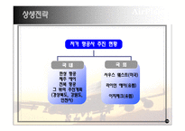 [경영학] 대한항공 vs 아시아나 경쟁우위 전략-19