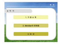 [국제경영] 머리디안 마그네슘(Meridian Magnesium) 사례 게임-2