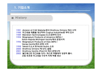 [국제경영] 머리디안 마그네슘(Meridian Magnesium) 사례 게임-5