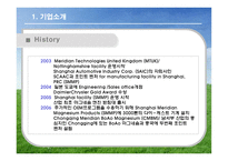[국제경영] 머리디안 마그네슘(Meridian Magnesium) 사례 게임-6