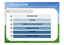 [국제경영] 머리디안 마그네슘(Meridian Magnesium) 사례 게임-9