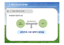 [국제경영] 머리디안 마그네슘(Meridian Magnesium) 사례 게임-10