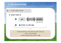 [국제경영] 머리디안 마그네슘(Meridian Magnesium) 사례 게임-11