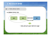 [국제경영] 머리디안 마그네슘(Meridian Magnesium) 사례 게임-12