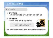 [국제경영] 머리디안 마그네슘(Meridian Magnesium) 사례 게임-13