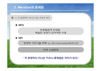 [국제경영] 머리디안 마그네슘(Meridian Magnesium) 사례 게임-14