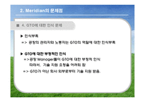 [국제경영] 머리디안 마그네슘(Meridian Magnesium) 사례 게임-15