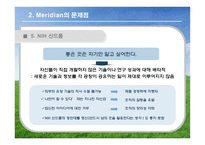 [국제경영] 머리디안 마그네슘(Meridian Magnesium) 사례 게임-16