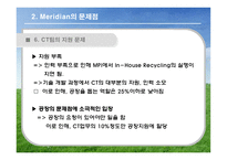 [국제경영] 머리디안 마그네슘(Meridian Magnesium) 사례 게임-17