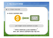 [국제경영] 머리디안 마그네슘(Meridian Magnesium) 사례 게임-18