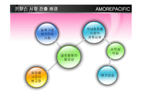 [국제경영] 아모레 퍼시픽 amore pacific 프랑스 해외진출전략-7