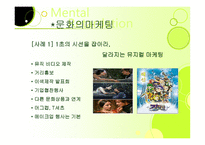 [경영학] 문화마케팅-8