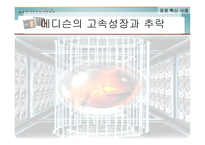 [경영학] 메디슨의 고속성장과 추락-2