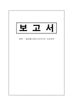 [국제경영] 글로벌기업(나이키)의 소싱전략-1