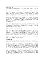 [국제경영] 글로벌기업(나이키)의 소싱전략-9
