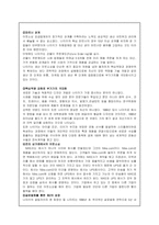 [국제경영] 글로벌기업(나이키)의 소싱전략-12