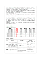 [국제경영] 글로벌기업(나이키)의 소싱전략-13