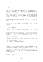 [국제경영 해외 진출 사례] 삼성 애니콜 유럽시장 진출 사례-14