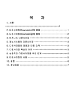 [경영학원론] 다운사이징-2