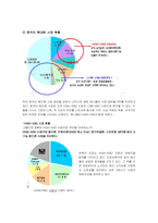 [글로벌경영] 애니콜의 중국시장내 마케팅 전략-4