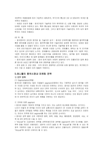 [글로벌경영] 애니콜의 중국시장내 마케팅 전략-7