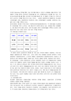 [글로벌경영] 애니콜의 중국시장내 마케팅 전략-11