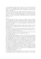 [글로벌경영] 애니콜의 중국시장내 마케팅 전략-13