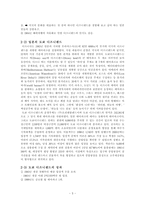 [국제경영] 디즈니랜드의 해외진출사례-5