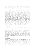 [국제경영] 디즈니랜드의 해외진출사례-11
