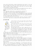 [국제경영전략] 이마트 해외직접투자(FDI)전략-10