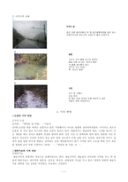 [한국문학] 현대시-7