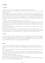 [마케팅] 구글(Google)의 국내시장 진출 마케팅 전략-13