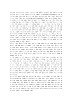 [기업지배구조] 기업지배구조의 현황과 기업지배구조의 개선 및 개혁-3