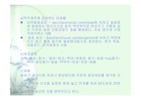 [식품생명공학] 미생물과 주류-13