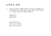 [발효식품] 맥주(발효)-파워포인트-7