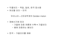 [발효식품] 맥주(발효)-파워포인트-14