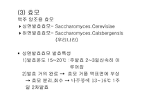 [발효식품] 맥주(발효)-파워포인트-17
