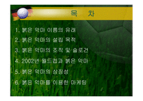 [스포츠마케팅] 붉은악마와 마케팅-3