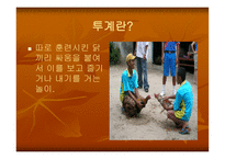 [스포츠 사회학] 스포츠와 계급 불평등-17