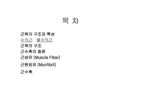 [생리학] 근육계와 운동-2