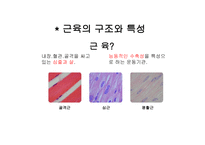 [생리학] 근육계와 운동-3