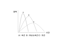 [생리학] 근육계와 운동-10