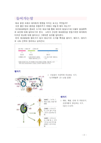[아동학, 영유아, 태내발달] 태아의 발달에 영향을 끼치는 요인-2