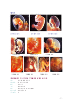[아동학, 영유아, 태내발달] 태아의 발달에 영향을 끼치는 요인-3