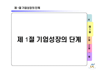 제 8장 기업의 다각화 전략-4