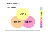 제 8장 기업의 다각화 전략-5