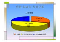 [전략경영] 유한 킴벌리 분석-3