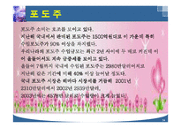 주류 산업의 세계화 전략-14