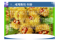 주류 산업의 세계화 전략-16